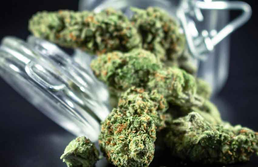 Northern Lights Cannabis