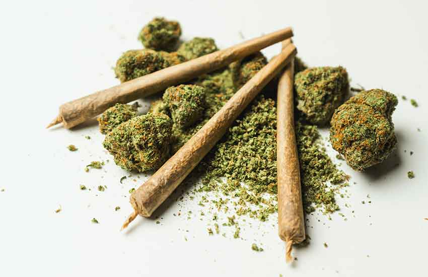 Single Pre-Rolls Forest Lake